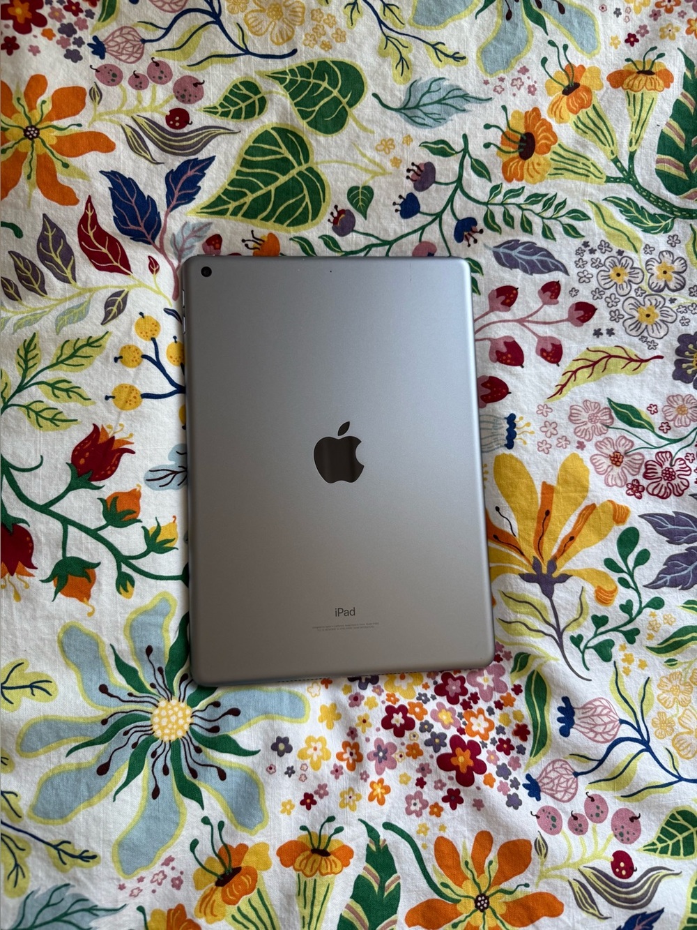 Apple iPad + Green Case